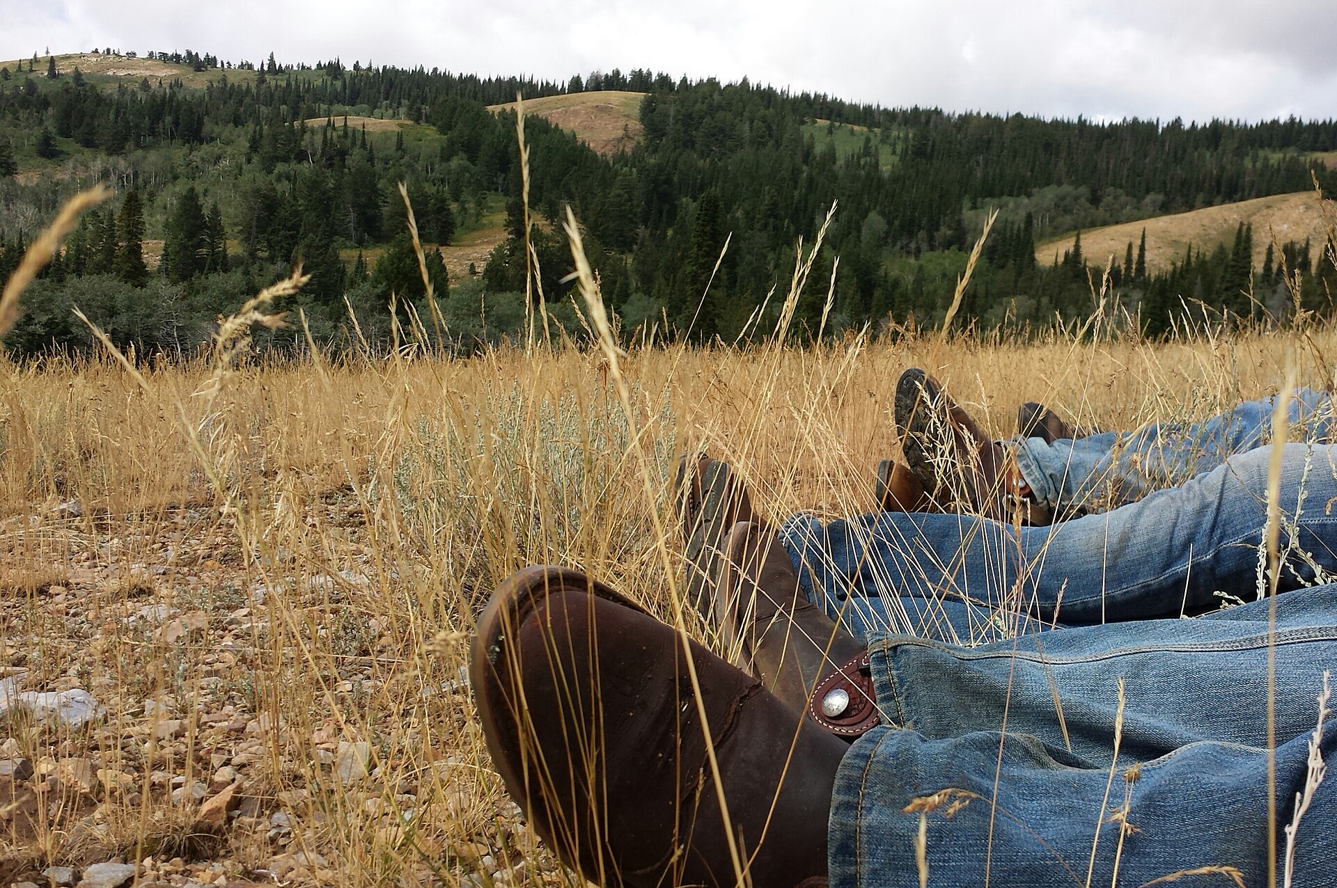 A picture of our crews boots during our lunch break while doing allotment inspections in the back country. Caribou &ndash; Targhee National Forest. Credit: US Forest Service.
